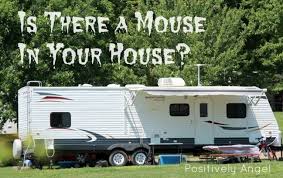 Mice in RV